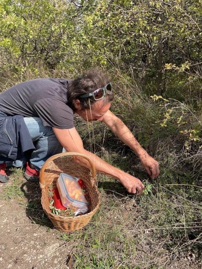 A természet gyógyszertára